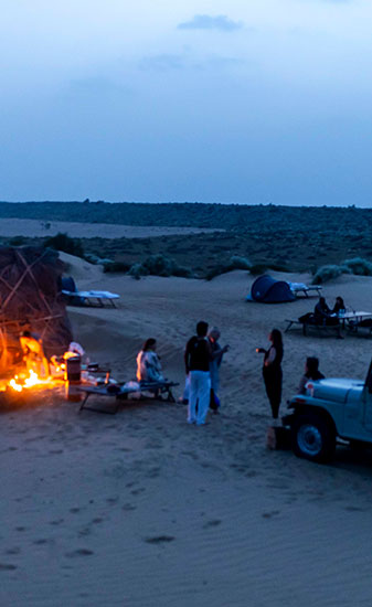Night Safari