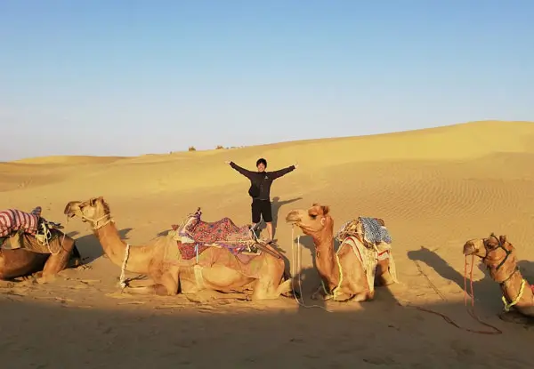 Camel Safari vs Jeep Safari in Jaisalmer
