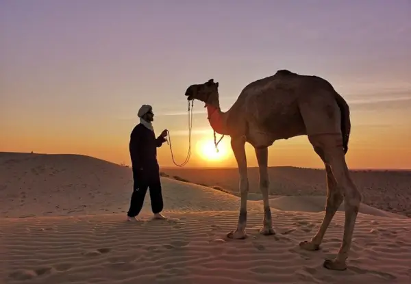 Non-Touristic Desert Safari