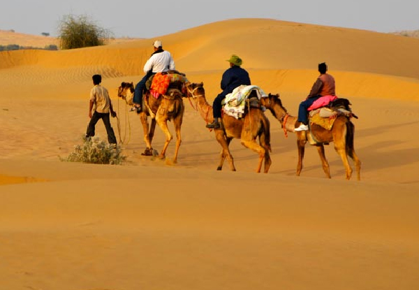 The Golden city and its Famous Desert Safari