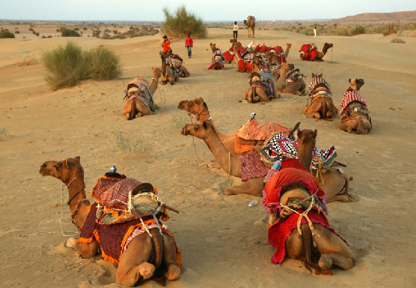 Jaisalmer Camel Safari: An essential checklist for a thrill in the desert