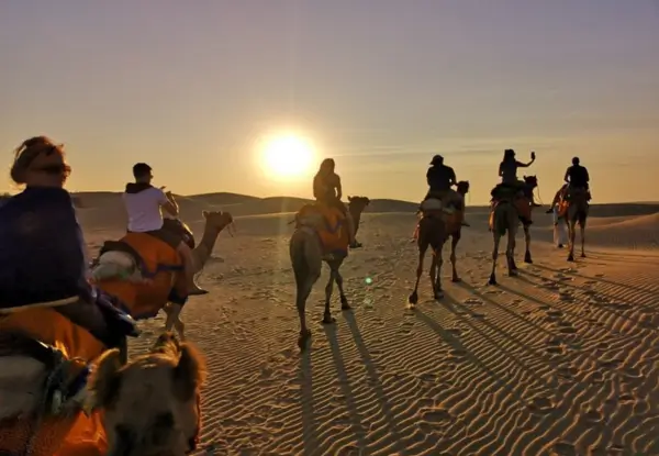 Desert Camp for Large Groups