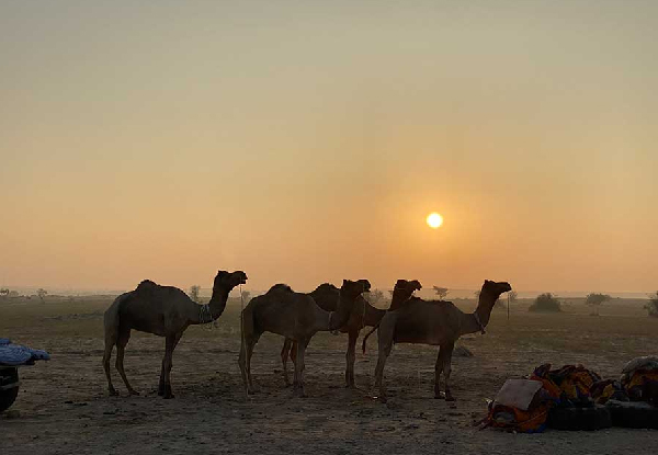 A TRIP TO JAISALMER FOR 3 DAYS 2 NIGHTS