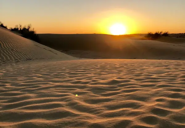 Jaisalmer Pre-Wedding Shoot in Desert