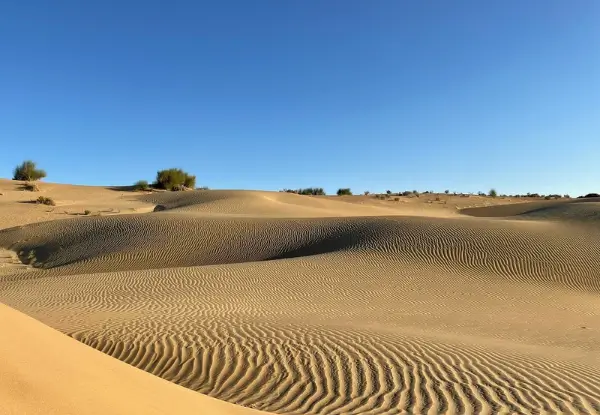 Spanish Speaking Tour Guide Jaisalmer