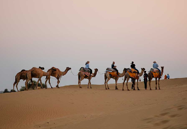 10 Most Interesting Things To Do in Jaisalmer for an exciting Desert Trip in 2020