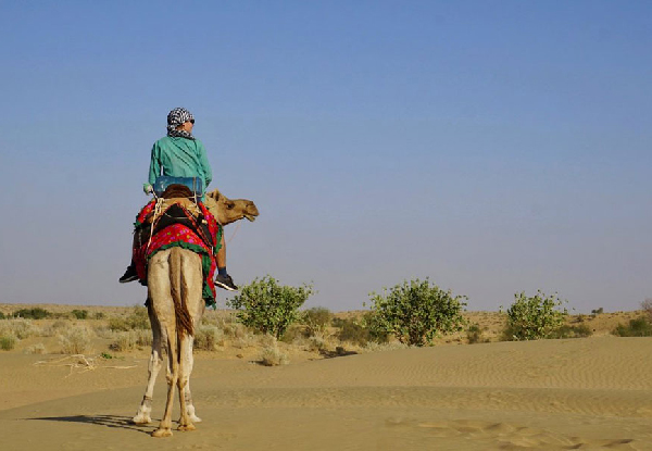 Important Tips For Jaisalmer Camel Safari