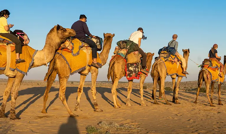 24 Hours Desert Safari Tour Package | Real Desert Man Safari