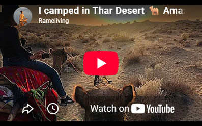 Real Desert